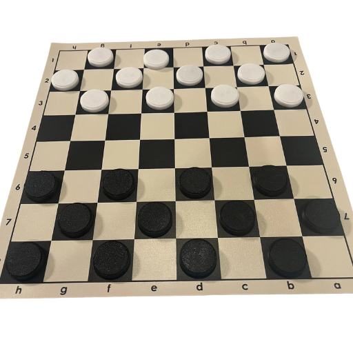 Travel Chess/Checkers Set & Roll-Up Board