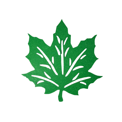 Maple Leaf Coasters Set
