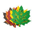 Maple Leaf Coasters Set